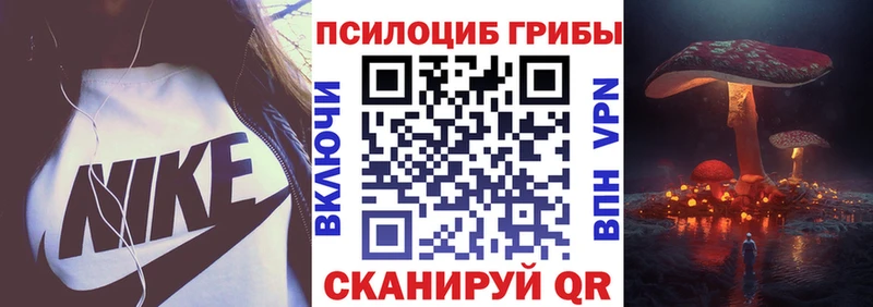 Галлюциногенные грибы GOLDEN TEACHER  где продают   Дербент 